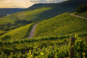 Valpolicella: cosa vedere?